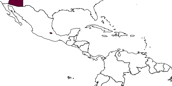 map of Cylloceria rubrica     Dasch, 1992